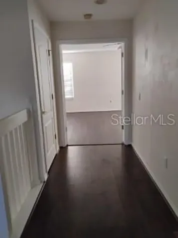 10415 Lucaya Drive Tampa FL 33647