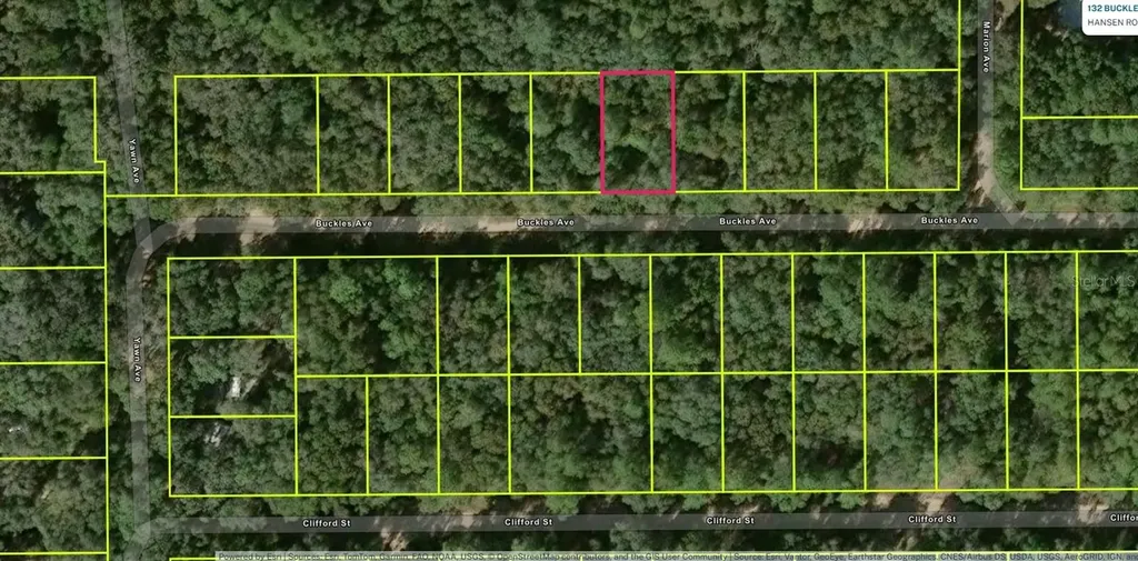 Lot 8, Unit 7, Blk 42 Buckles Avenue Interlachen FL 32148