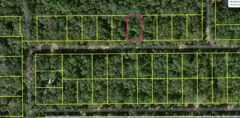 Lot 8, Unit 7, Blk 42 Buckles Avenue Interlachen FL 32148