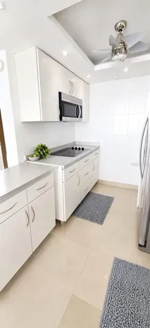 1607 Avenida Juan Ponce De Leon Santurce PR 00909