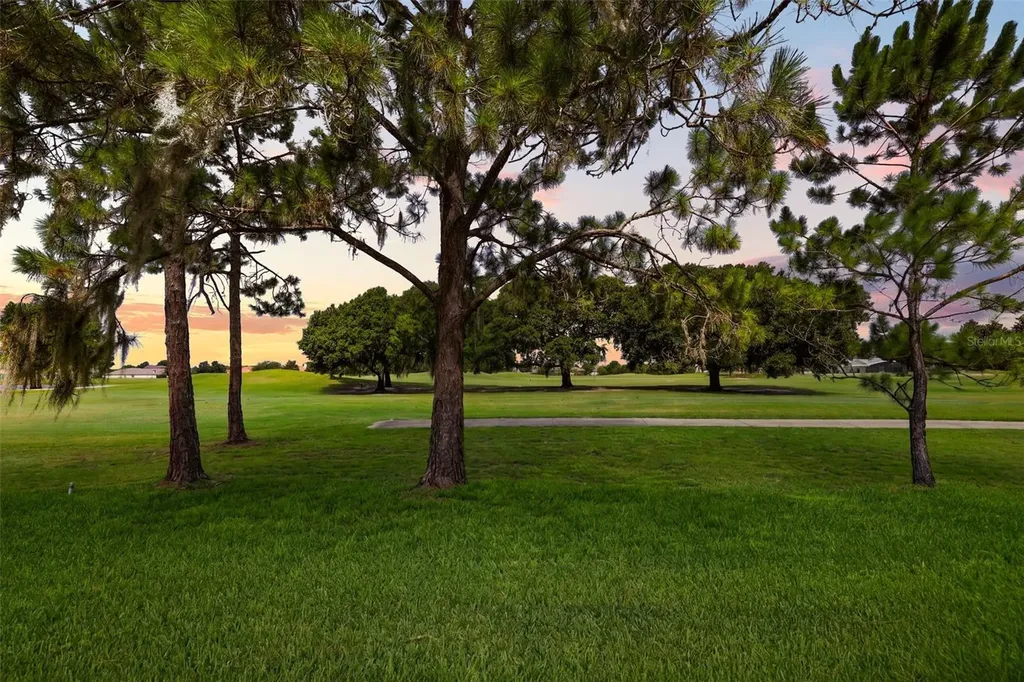 29925 Cypress Pointe Tavares FL 32778