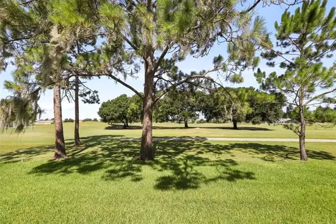 29925 Cypress Pointe Tavares FL 32778