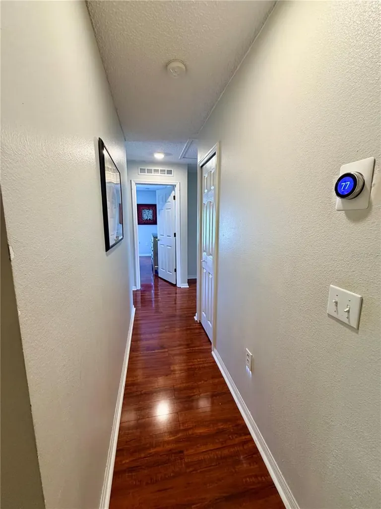 30341 Pongo Way Wesley Chapel FL 33545