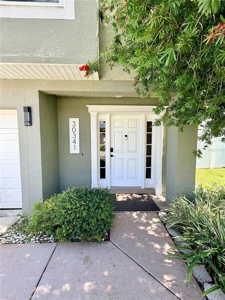 30341 Pongo Way Wesley Chapel FL 33545