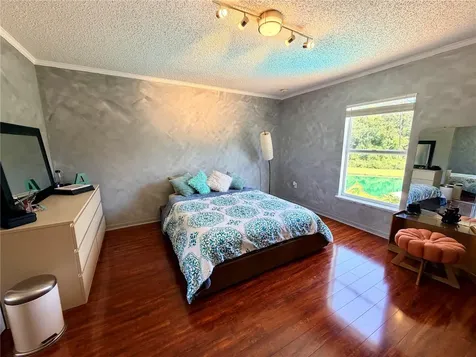 30341 Pongo Way Wesley Chapel FL 33545
