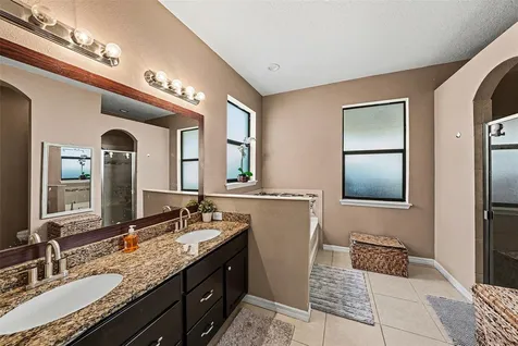 12530 Ballentrae Forest Drive Riverview FL 33579