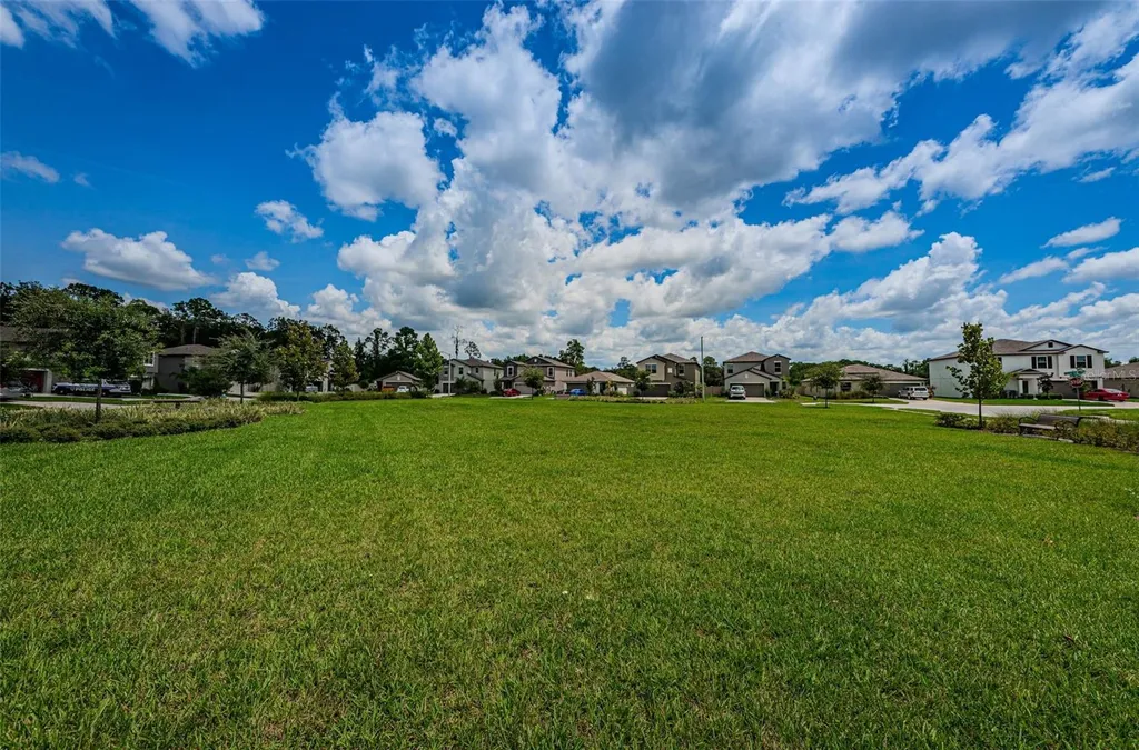6376 Spider Lily Way New Port Richey FL 34653