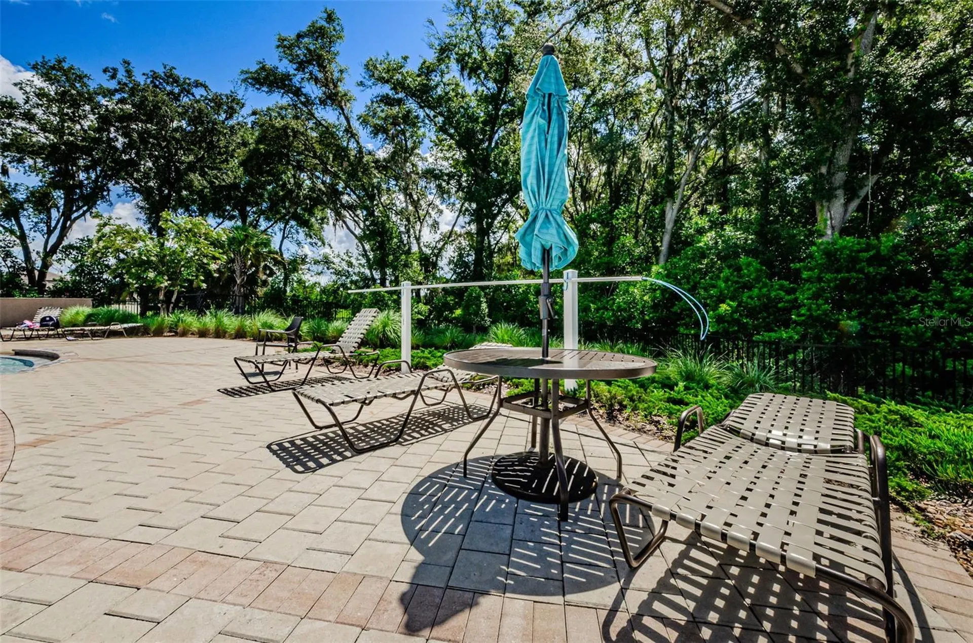6376 Spider Lily Way New Port Richey FL 34653