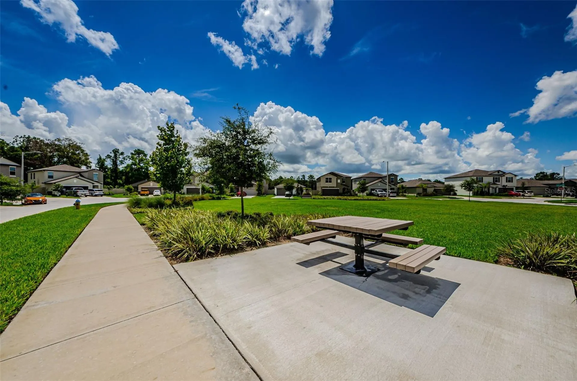 6376 Spider Lily Way New Port Richey FL 34653