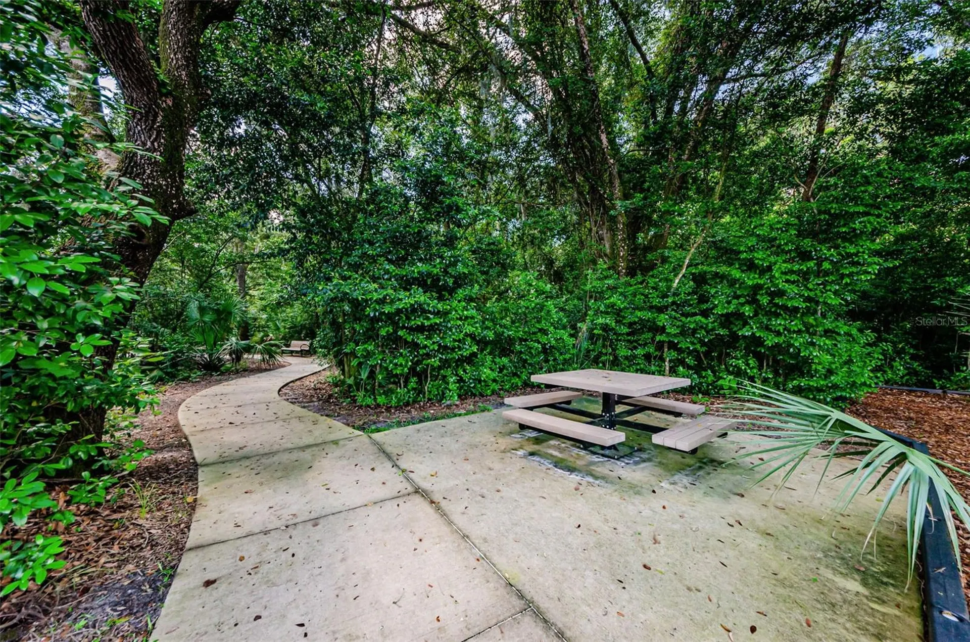 6376 Spider Lily Way New Port Richey FL 34653