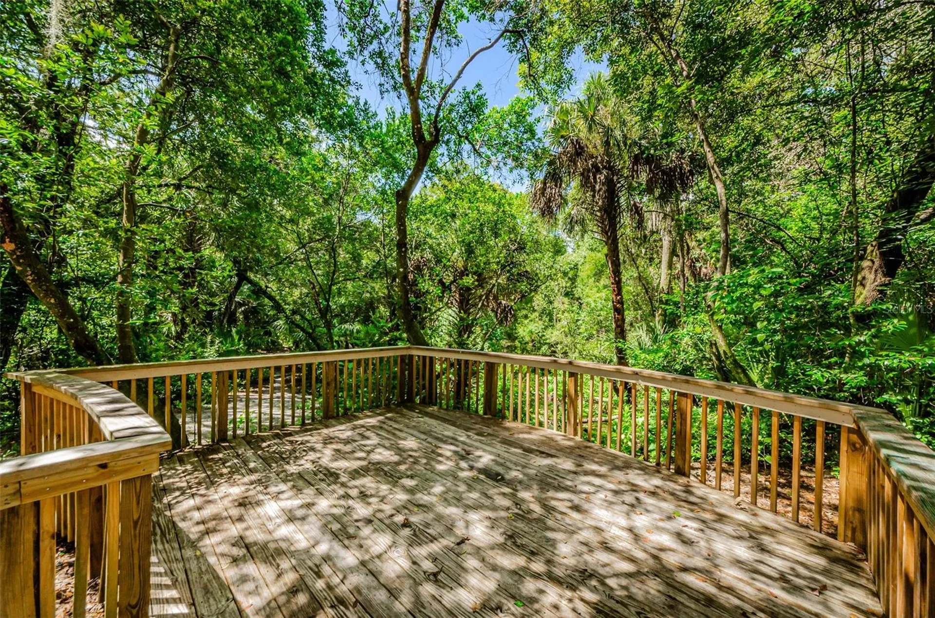 6376 Spider Lily Way New Port Richey FL 34653