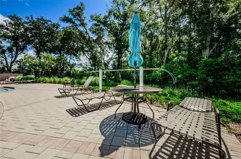 6376 Spider Lily Way New Port Richey FL 34653