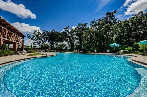 6376 Spider Lily Way New Port Richey FL 34653