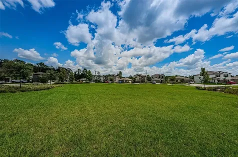 6376 Spider Lily Way New Port Richey FL 34653