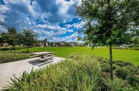 6376 Spider Lily Way New Port Richey FL 34653