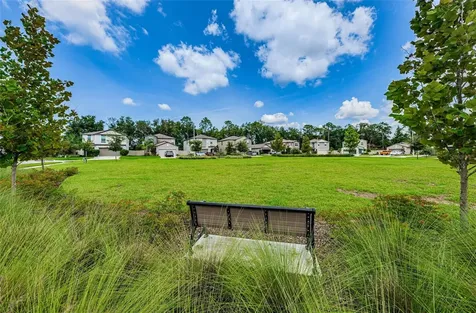 6376 Spider Lily Way New Port Richey FL 34653