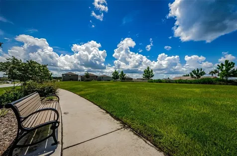 6376 Spider Lily Way New Port Richey FL 34653