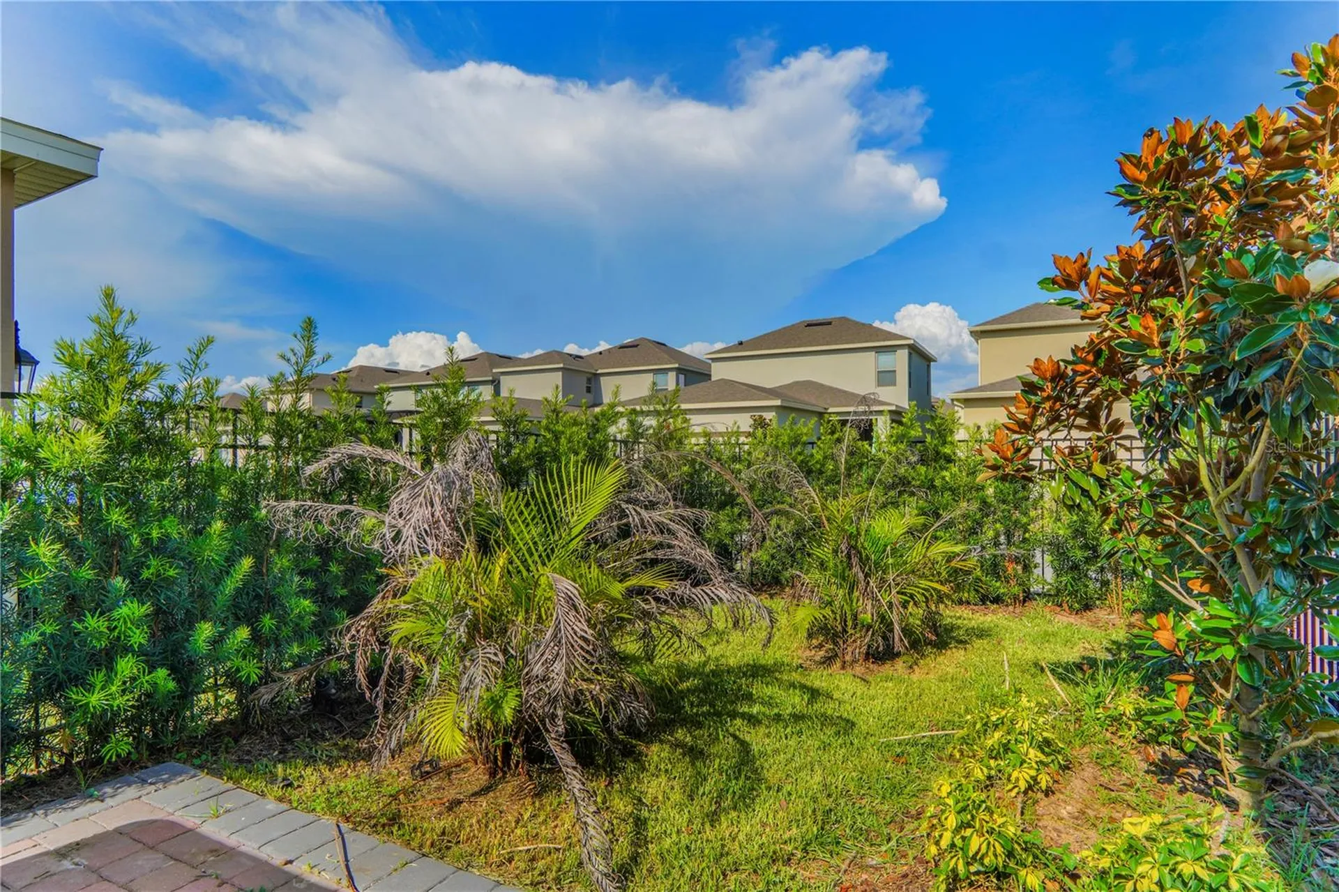 11169 Sound Shore Drive Winter Garden FL 34787