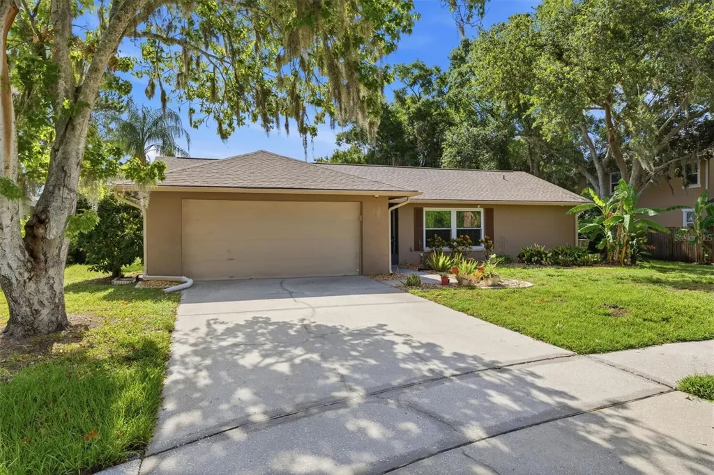 14801 Perriwinkle Place Tampa FL 33625