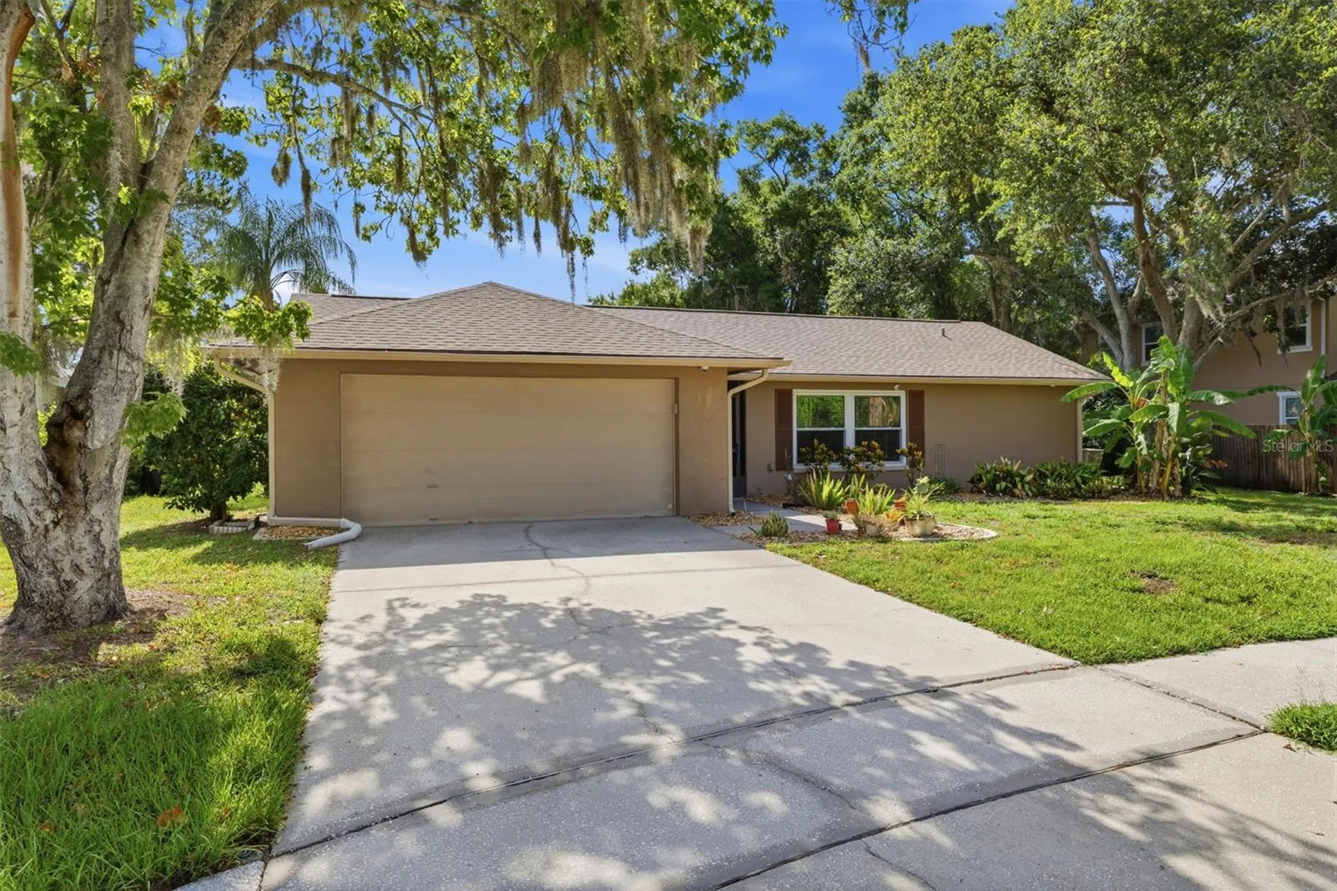 14801 Perriwinkle Place Tampa FL 33625