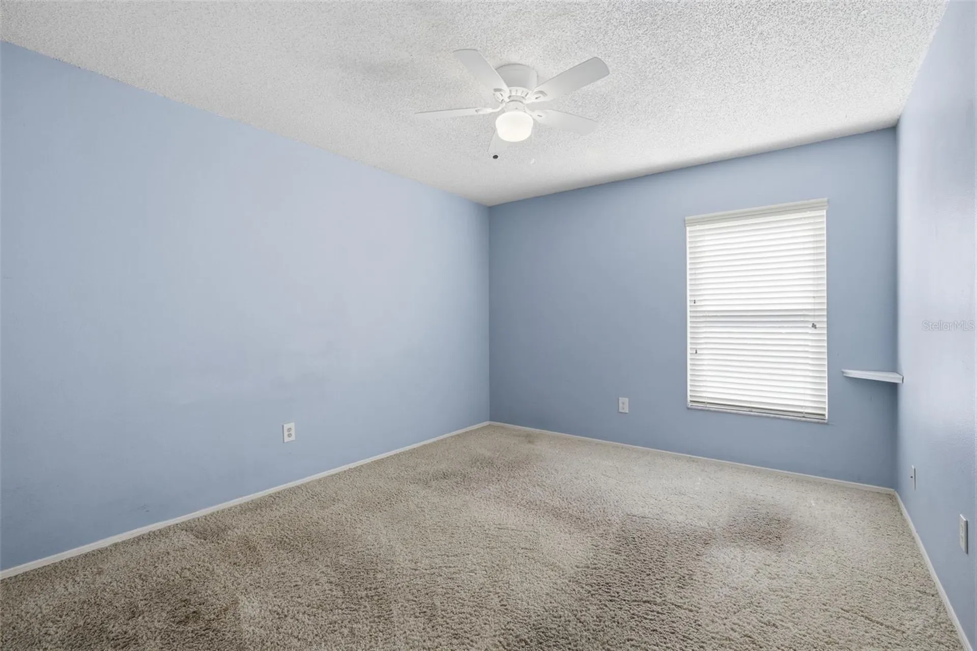 14801 Perriwinkle Place Tampa FL 33625