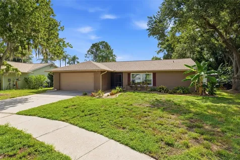 14801 Perriwinkle Place Tampa FL 33625