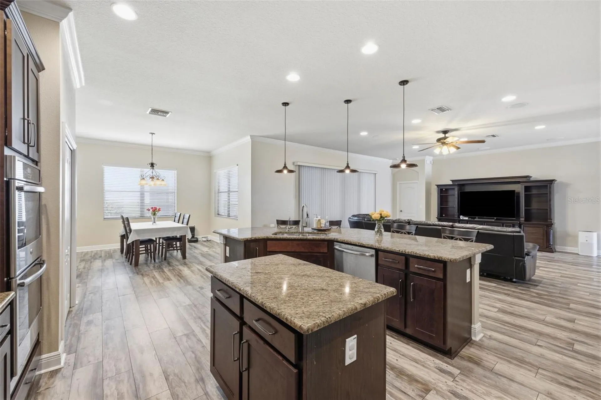 2723 Colewood Lane Dover FL 33527