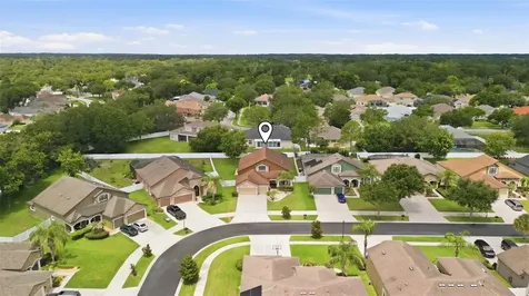 2723 Colewood Lane Dover FL 33527