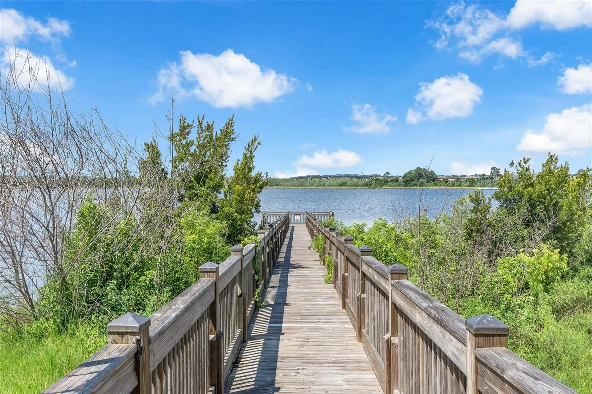 14230 Murcott Blossom Boulevard Winter Garden FL 34787