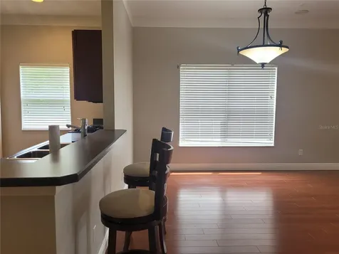 20722 Great Laurel Avenue Tampa FL 33647