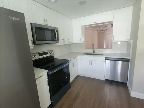 209 Corkwood Lane Oldsmar FL 34677