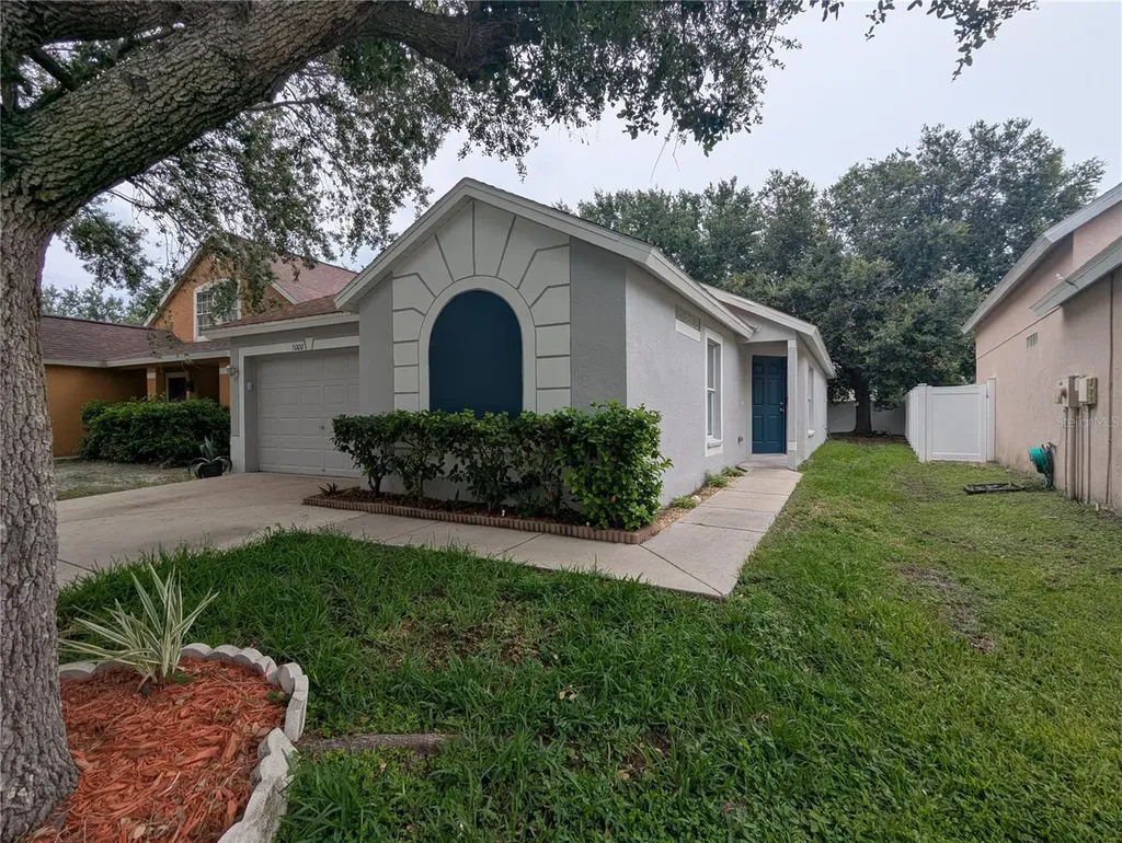 5000 Anclote River Street Wesley Chapel FL 33545