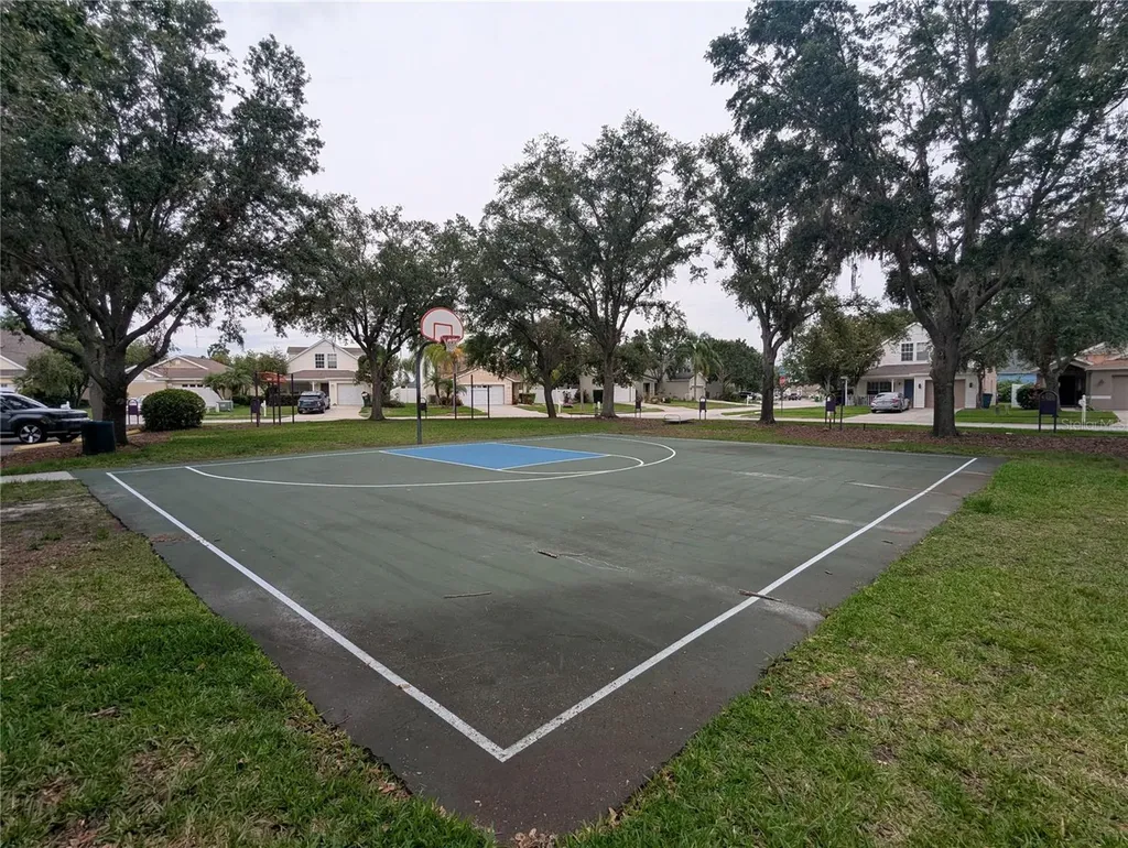 5000 Anclote River Street Wesley Chapel FL 33545