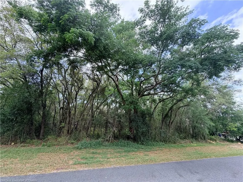 1727 N Berkley Road Avon Park FL 33825