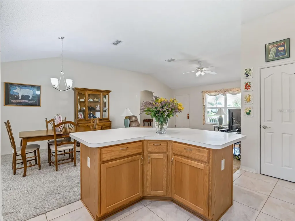 3025 Hobart Court The Villages FL 32162