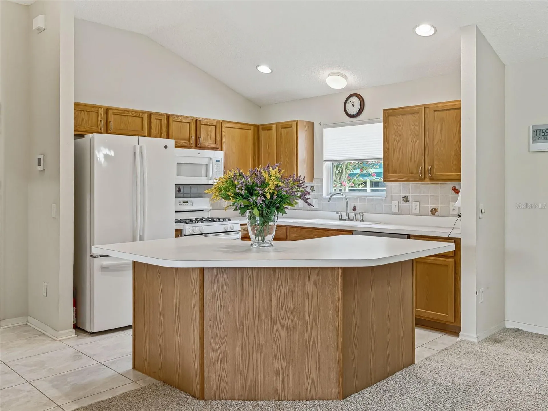 3025 Hobart Court The Villages FL 32162