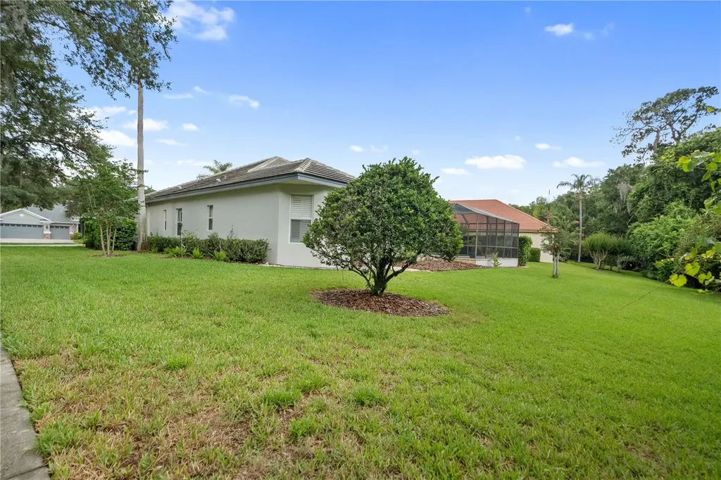 21127 Lake Vienna Drive Land O Lakes FL 34638