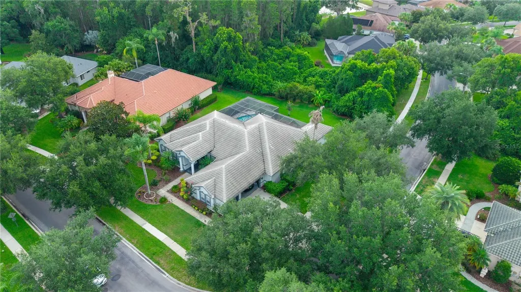 21127 Lake Vienna Drive Land O Lakes FL 34638