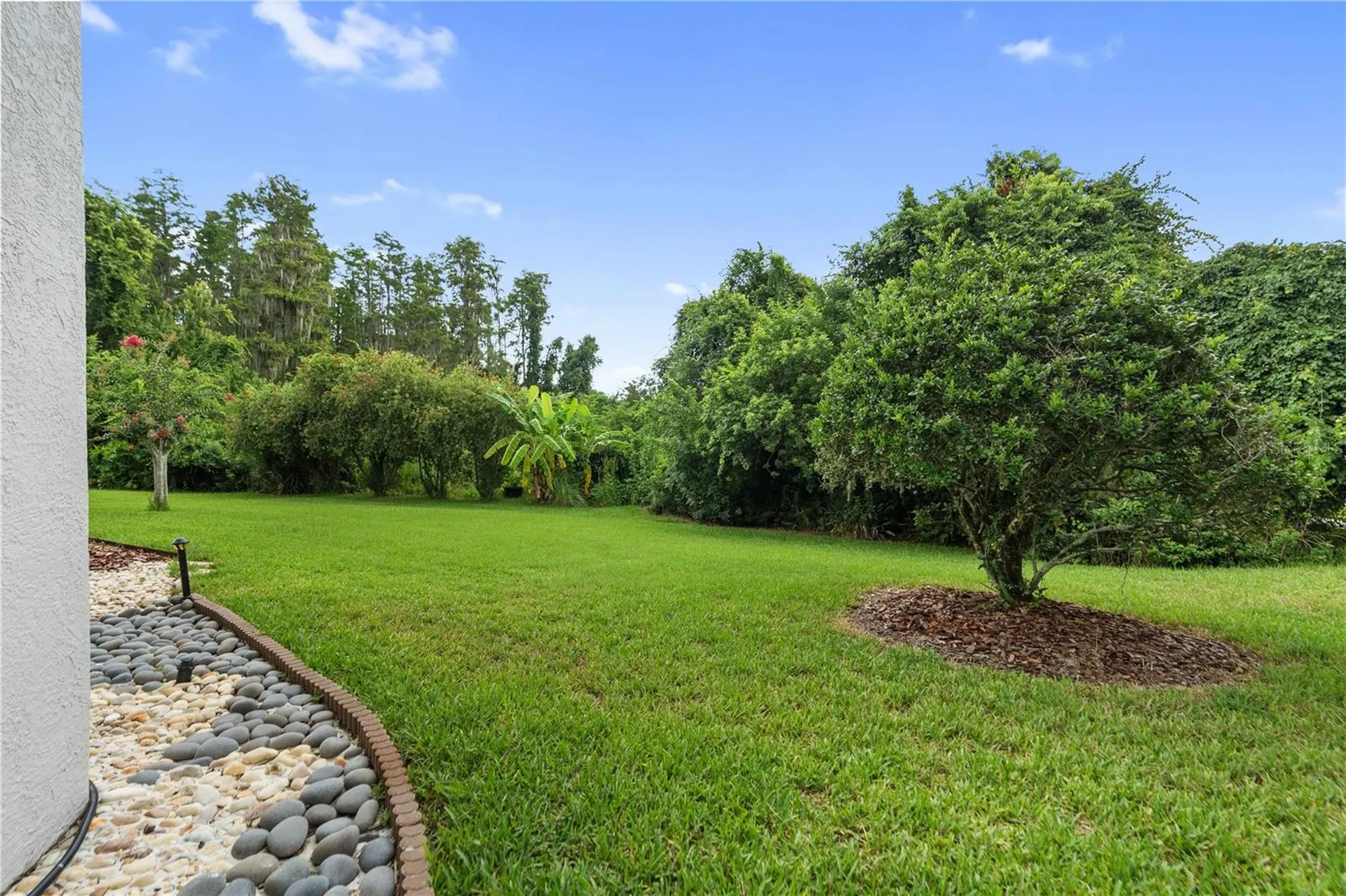 21127 Lake Vienna Drive Land O Lakes FL 34638