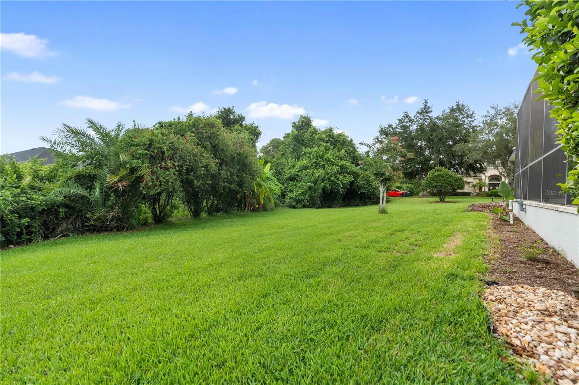 21127 Lake Vienna Drive Land O Lakes FL 34638