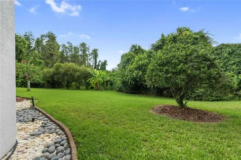 21127 Lake Vienna Drive Land O Lakes FL 34638