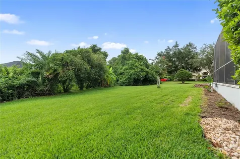 21127 Lake Vienna Drive Land O Lakes FL 34638