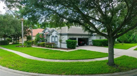 21127 Lake Vienna Drive Land O Lakes FL 34638
