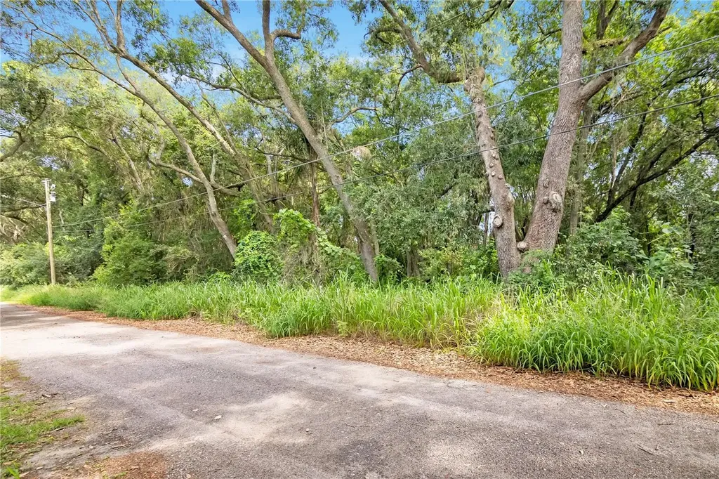 Avalon Road Winter Garden FL 34787