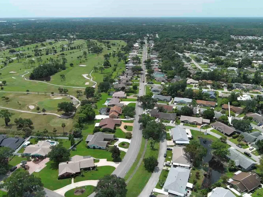 12 Eagle Lane New Smyrna Beach FL 32168