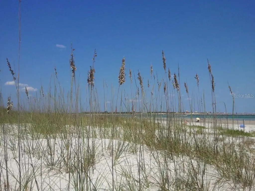 12 Eagle Lane New Smyrna Beach FL 32168