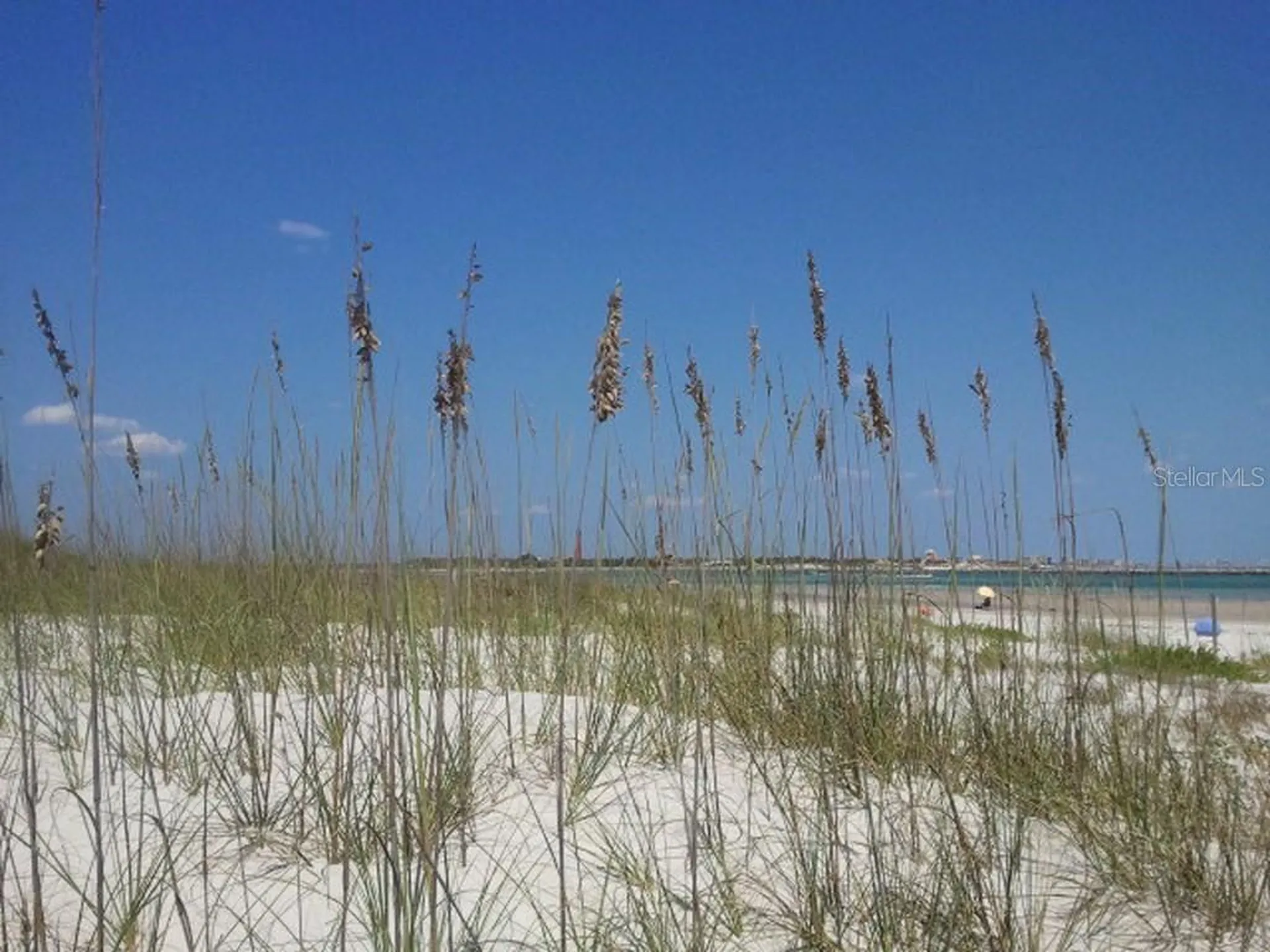 12 Eagle Lane New Smyrna Beach FL 32168