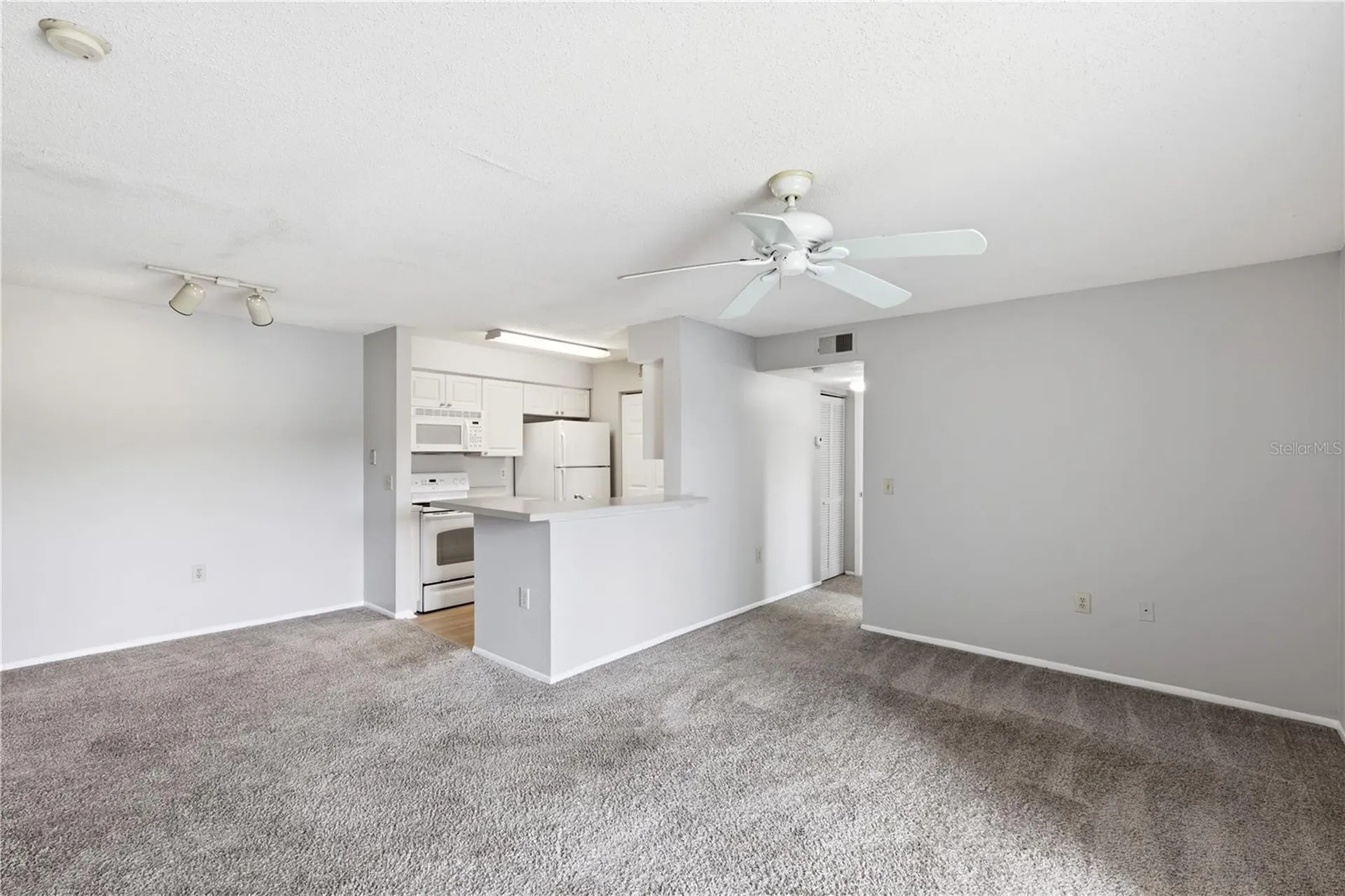 1229 Bermuda Lakes Lane Kissimmee FL 34741