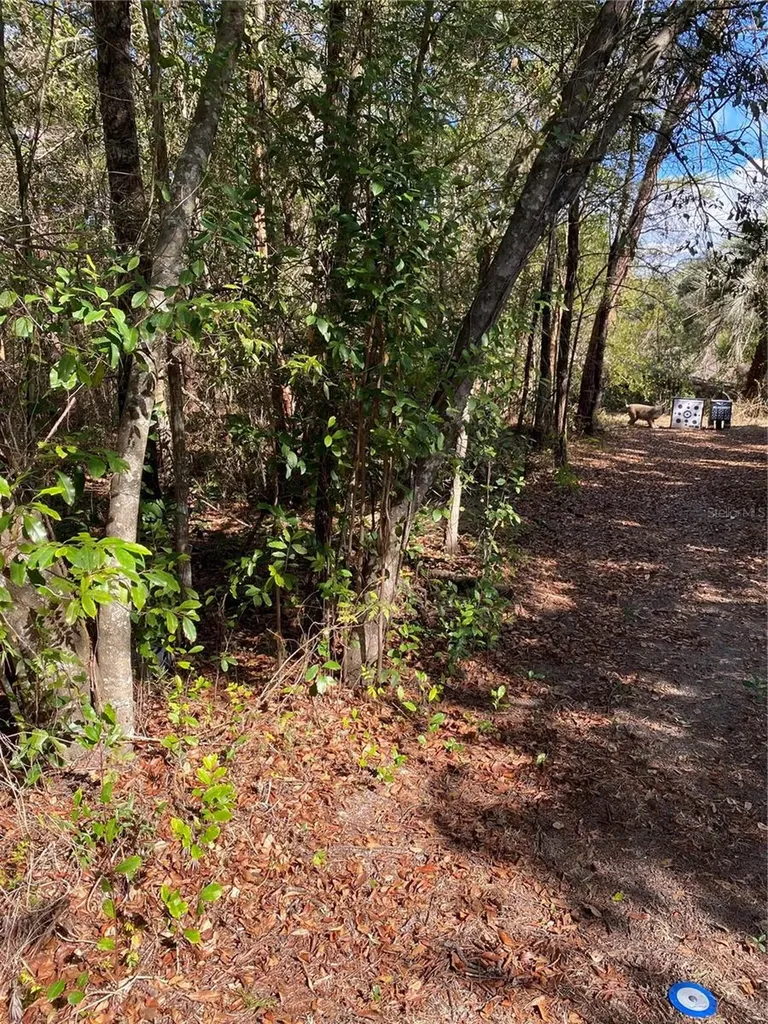 2085 SW Algiers Court Dunnellon FL 34431
