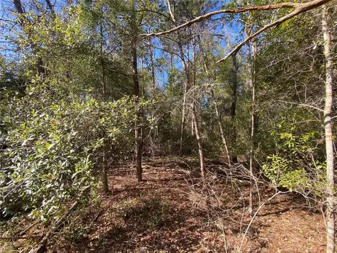 2085 SW Algiers Court Dunnellon FL 34431